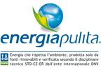 logo energia pulita